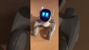 ペットロボット「Loona(ルーナ)」〜ChatGPTアプレットで会話ができる！