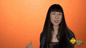 Средство от клопов Зондер