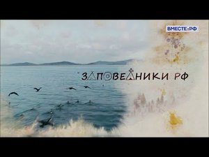 Дальневосточный морской биосферный заповедник