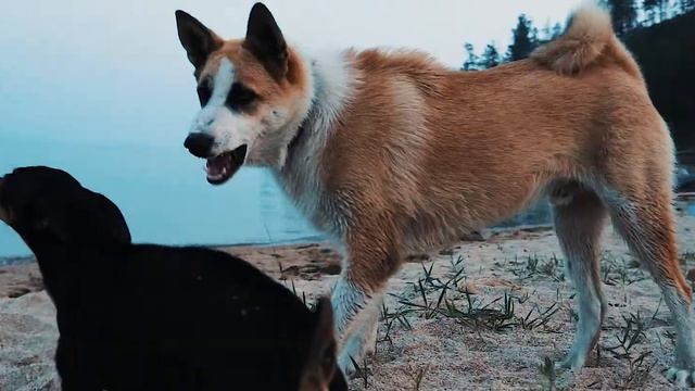 Байкал - чудо России смотреть онлайн