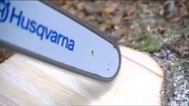 Работа с бензопилой  Техника безопасности   2