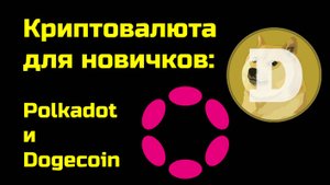 Polkadot | Dogecoin | Как отличить скам от надежных криптовалют | Крипта для новичков