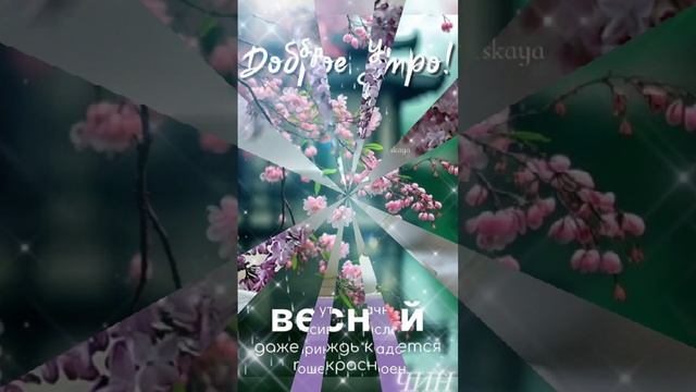 Доброго утра! Хорошего весеннего дня!