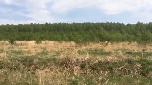 Дорога в Михалишки смотреть онлайн