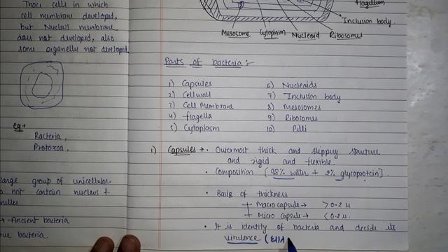Microbiology || Structure Of Bacteria || Prokaryotes & Eukaryotes ||L-2||Unit-1|| B.pharma 3rd sem смотреть онлайн