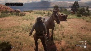 Taming The Rare Tiger Striped Mustang - Location - Red Dead Redemption 2