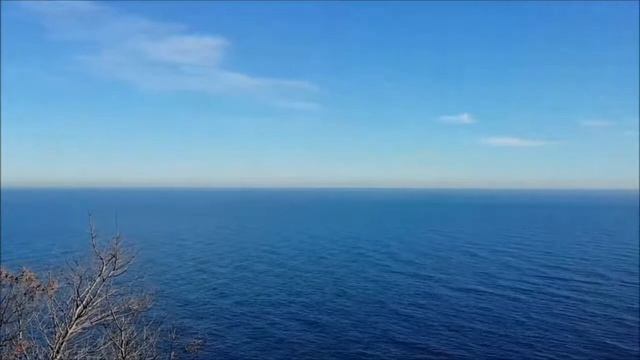 Самба не умрет никогда! oncopsiholog.ru смотреть онлайн