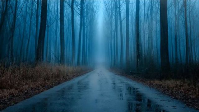 Фоны Которые Использует Макс Ващенко смотреть онлайн