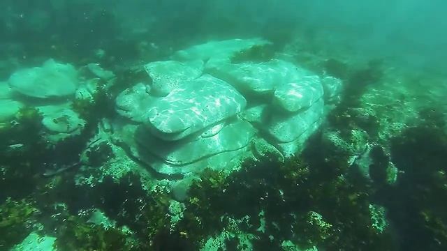 Bronte at it's finest смотреть онлайн