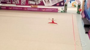 Мужская художественная гимнастика