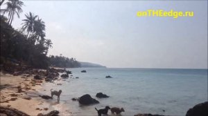 #4 Таиланд, Самуи: небольшое солнечное видео с пляжа Бан Тай