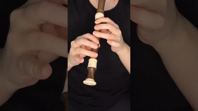 Toreador - CARMEN /Five Night At Freddy /Recorder Flute