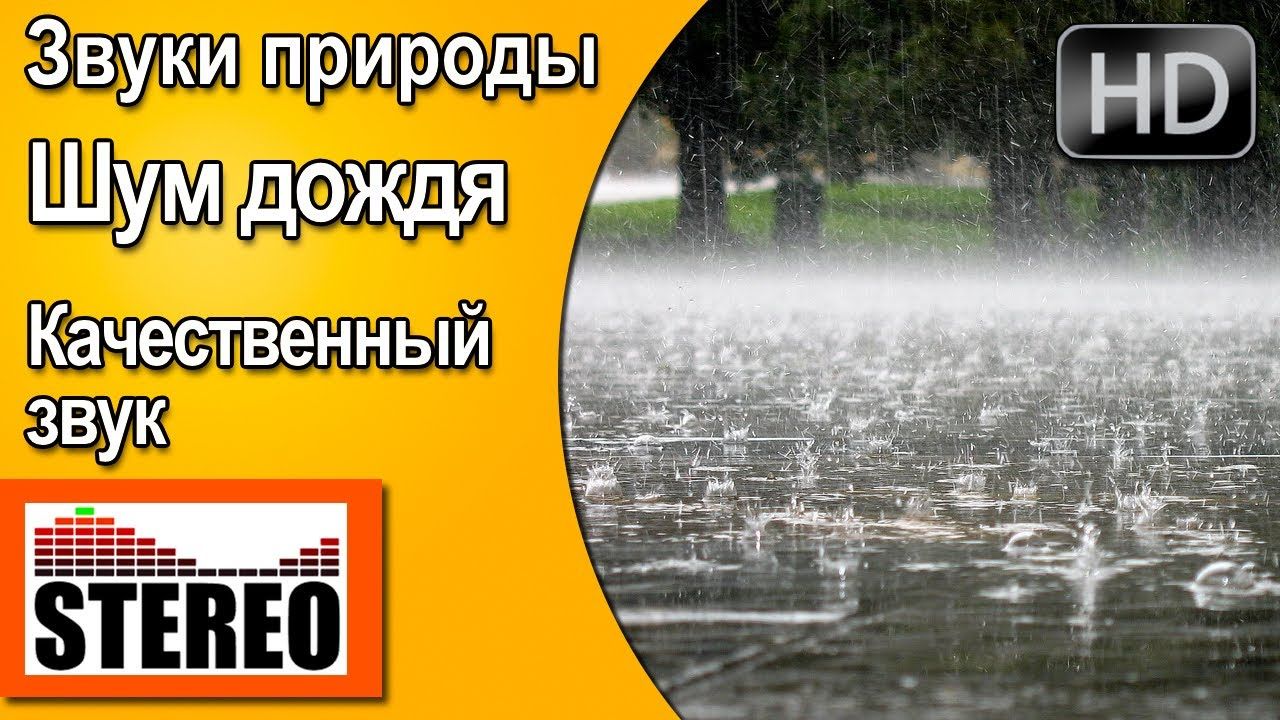 Шум лета. Слушать звуки природы дождь. Звуки природы шум дождя слушать. Шум дождя слушать. Звуки природы слушать звук дождя.