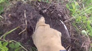 ТАКОГО Я ЕЩЕ НЕ ВИДЕЛ ЗДЕСЬ ПОВСЮДУ КОЛОДЦЫ И БРОШЕННЫЙ МЕТАЛЛ,КОП МЕТАЛЛА 2021