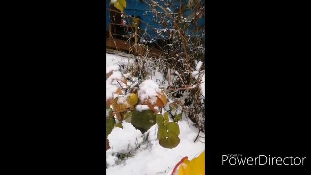 Выпал снег!!! Веселимся! смотреть онлайн