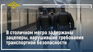 Ирина Волк: В столичном метро задержаны зацеперы, нарушившие требования транспортной безопасности