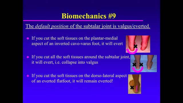 Biomechanics Of The Pediatric Foot. Principle 09. Default Position Of The Subtalar Joint