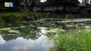 Sony 4K Demo - The World Heritage Kyoto