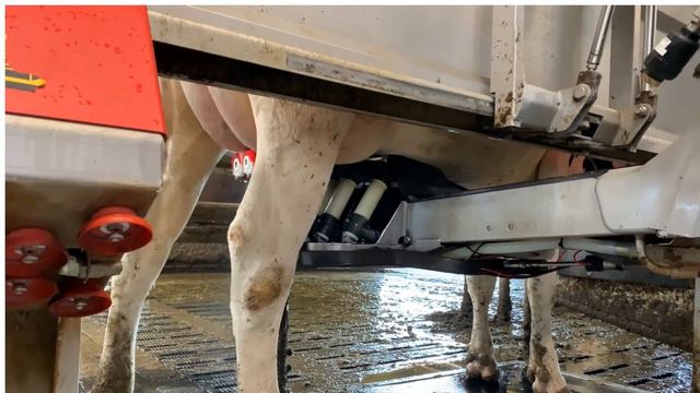 2023 DRF Symposium - Ad van Velde: Lessons to be learnt from key European dairy industries.
