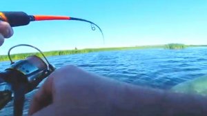 ЗАБИЛ ПОЛНЫЙ КУКАН! ЩУКА КЛЮЕТ НА АСЕ ПОДРЯД! РЫБАЛКА НА СПИННИНГ!