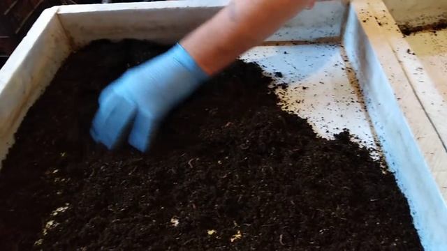 Начало бизнеса на червях. Первые шаги. смотреть онлайн