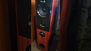Колонки Eltronic 20-82 Home Sound