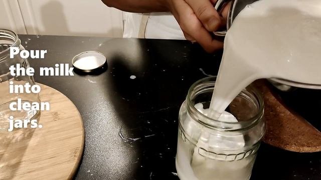 DIY How To Make Yogurt At Home L Homemade Yogurt Recipe L Easy Recipe For Homemade Yogurt