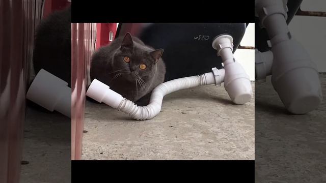 Утро,игры,бег смотреть онлайн