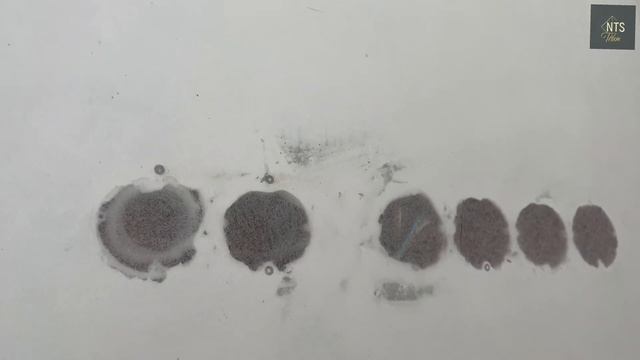 Гостевой дом мечты с баней. смотреть онлайн