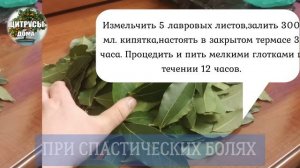 Лавровый лист лечит многие болезни-Рецепты из лаврушки от недугов,для здоровья