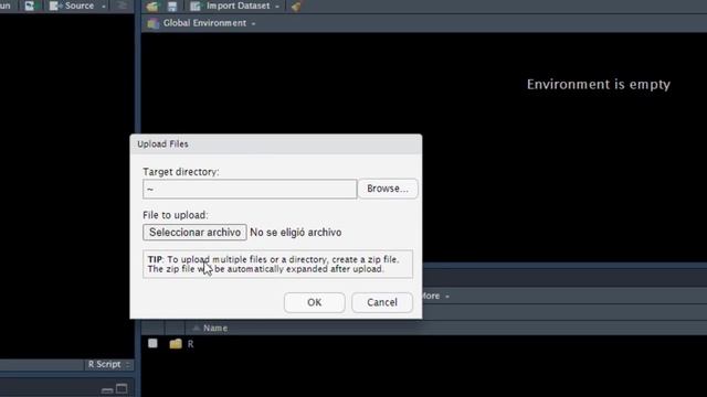 Leer archivos de Excel con R смотреть онлайн