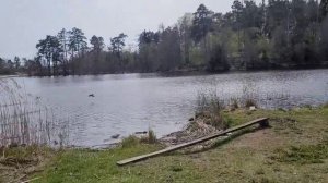 3 участка в г.Приозерске на оз.Судаковское