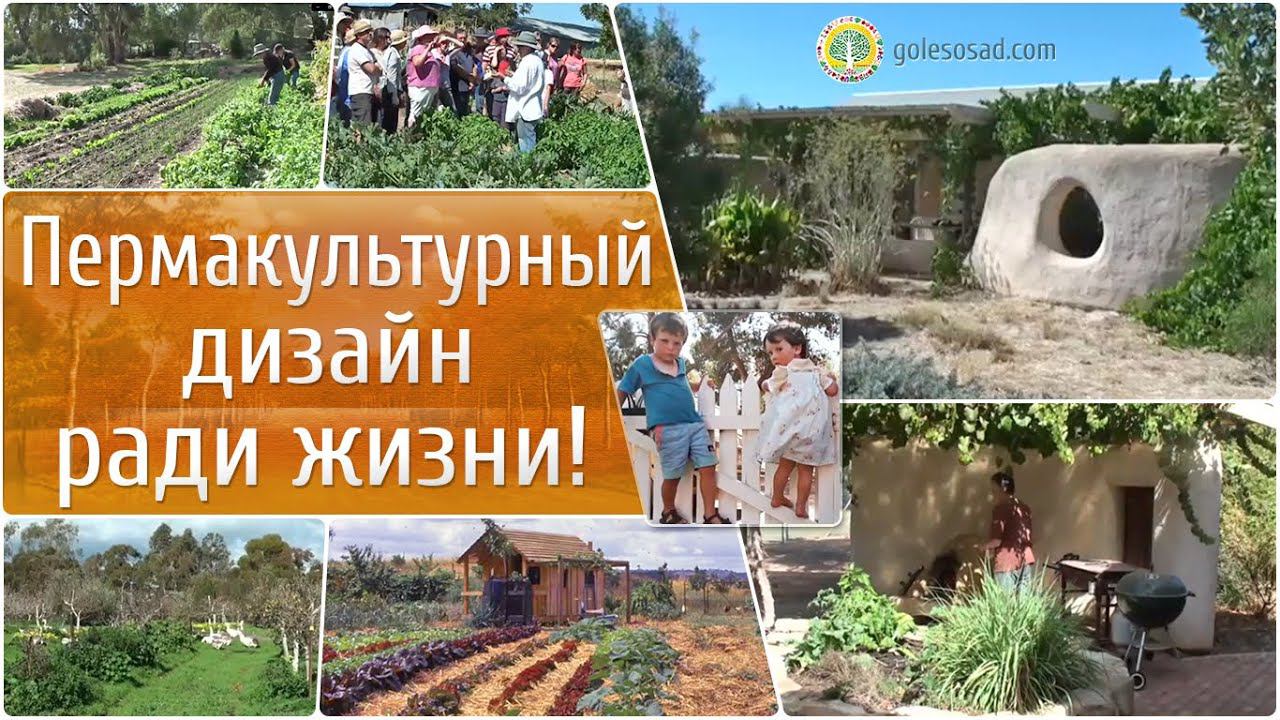 Пермакультурный дизайн ради жизни!