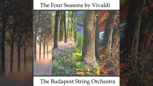 Concerto No. 1 In E Major RV 269 "Spring" - Largo E Pianissimo Sempre смотреть онлайн