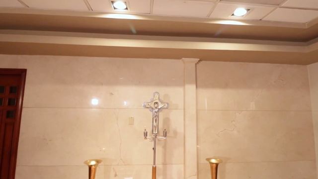 Capilla Solemnis sala dignitatis смотреть онлайн