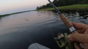 Рыбалка на троллинг. Ловля судака на троллинг.