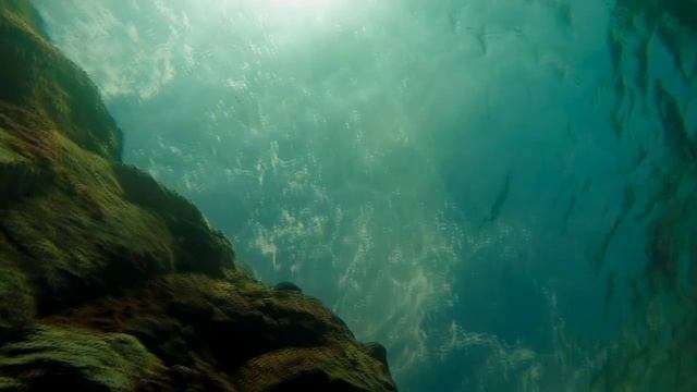 Tenerife - Puerto de Santiago смотреть онлайн