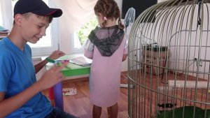 VLOG Встреча Даши и Назара. Друзья заселяются