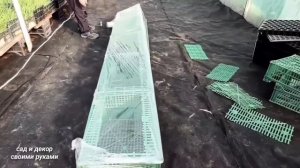Дачники в Восторге!!! Простейшая и Бюджетная Идея "Два в Одном" Парничка и Высокой Грядки!!!
