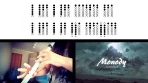 Monody (TheFatRat) - flute cover on Tin Whistle and Low Whistle