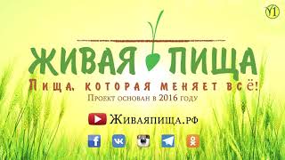 Главное о проекте Живая пища за три минуты (Видео 3)