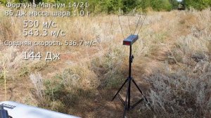 ПМ-Т. Фортуна 14/21 тёмная лошадка?