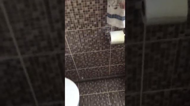 Санузел в деревянном доме