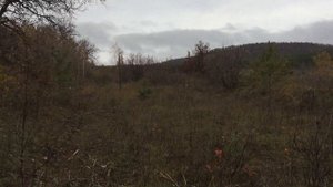 Ловля певчих птиц ураа попался щегол восьмирик , снегири,чижи,коноплянки 6.11.22