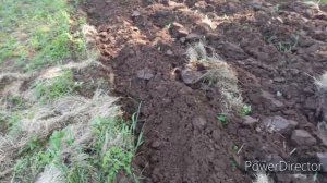 Пашем огород на 1й 2й  3й скорости и сравниваем! Как пашет плугом мини трактор кмз на скорости.