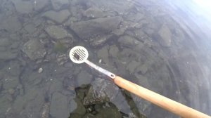 Ночной сбор морепродуктов