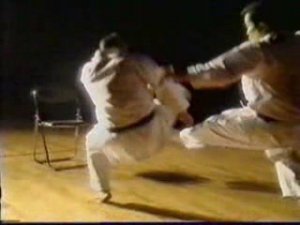 КАРАТЭ ШОТОКАН