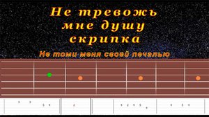 Не Тревожь Мне Душу Скрипка (cover) | Гитара на одной струне