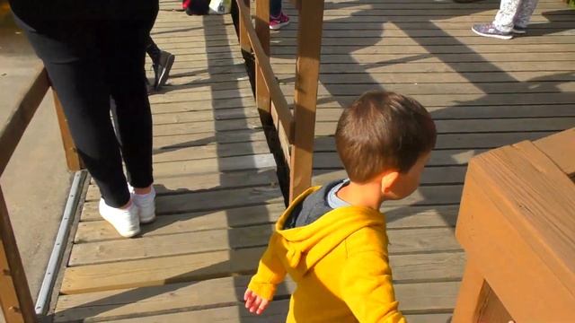 Неудачный день в парке аттракционов:Даня испугался спуска с высоких горок\Unlucky day in Kongeparke смотреть онлайн