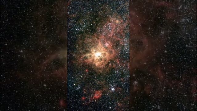 Tarantula Nebula Closest Look:Most beautiful video On the Internet #space